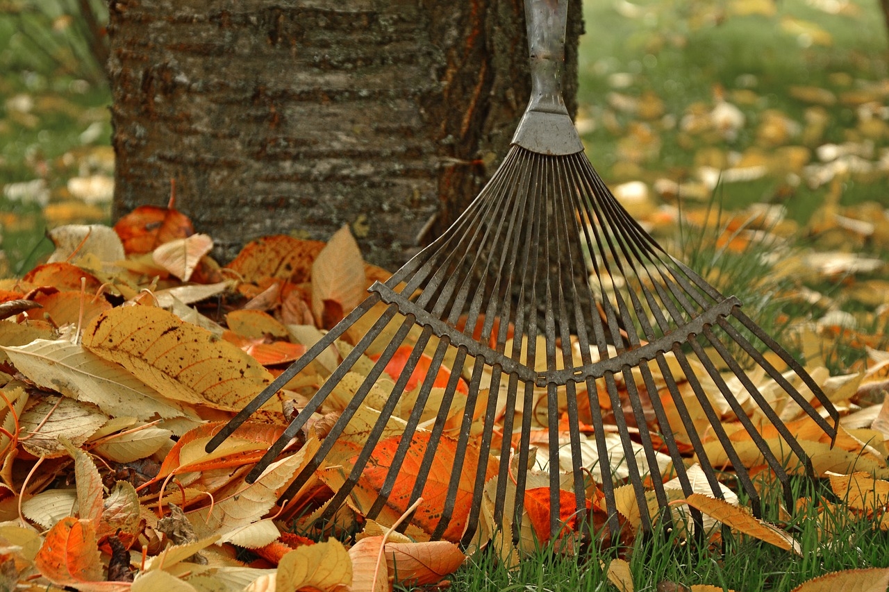 Wer muss das Herbstlaub auf dem Gehweg räumen?
